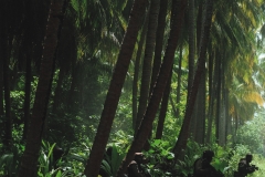 Rogue One Ultimate Visual Guide (b0bafett_Empire) p162