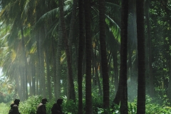 Rogue One Ultimate Visual Guide (b0bafett_Empire) p163