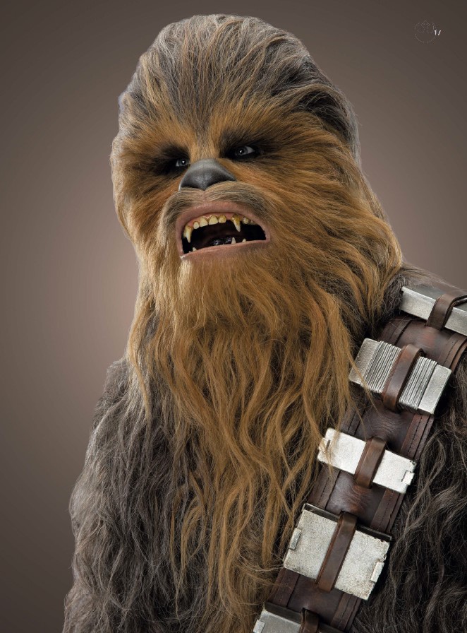 CHEWBACCA THE HEART OF A WARRIOR 3