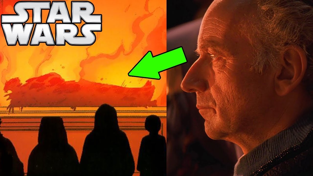 Palpatine's THOUGHTS During Qui-Gon's FUNERAL 1
