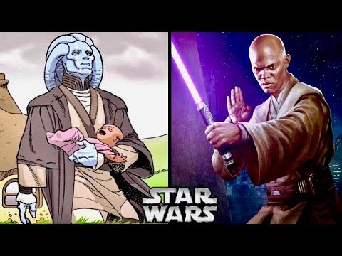 How Mace Windu Joined the Jedi Order by COMPLETE ACCIDENT! (Legends) 1
