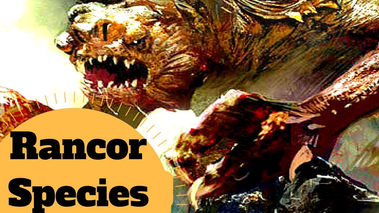 Different kinds of Rancor Species - Star Wars Canon & Legends Lore 1