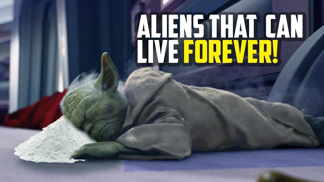 Which Species Live the Longest in Star Wars? 1