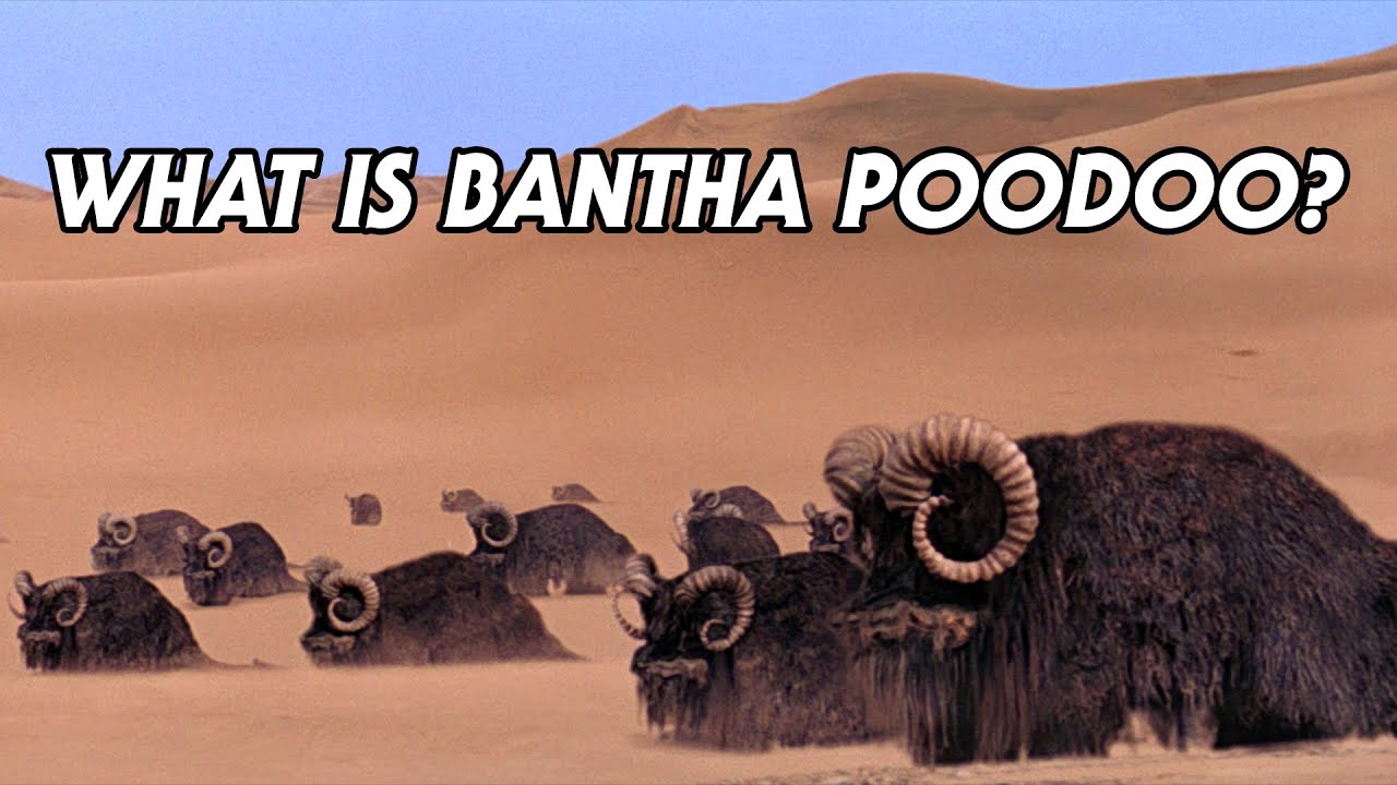 What Is Bantha Poodoo, Really? 1