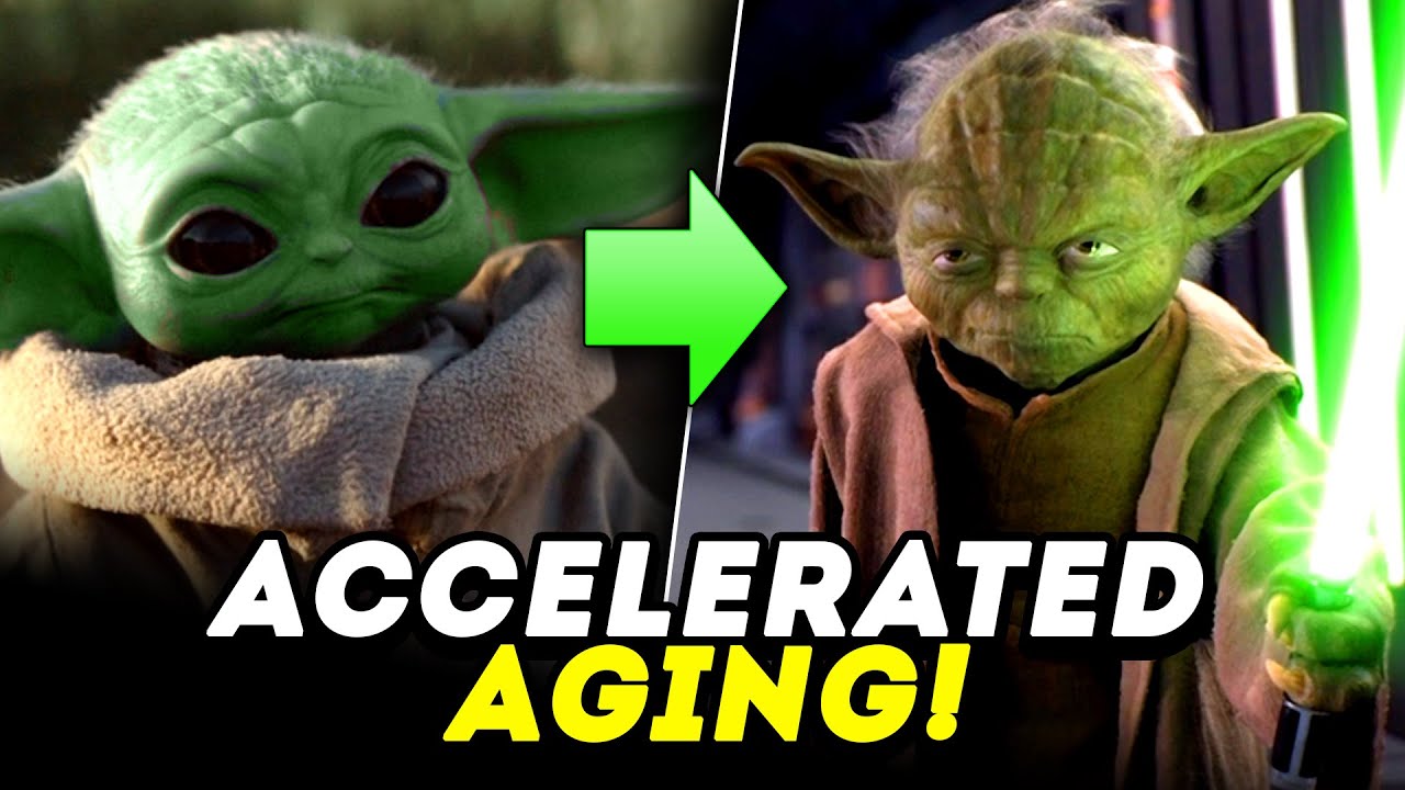 Why Baby Yoda May Age Much Faster Than You Think! 1
